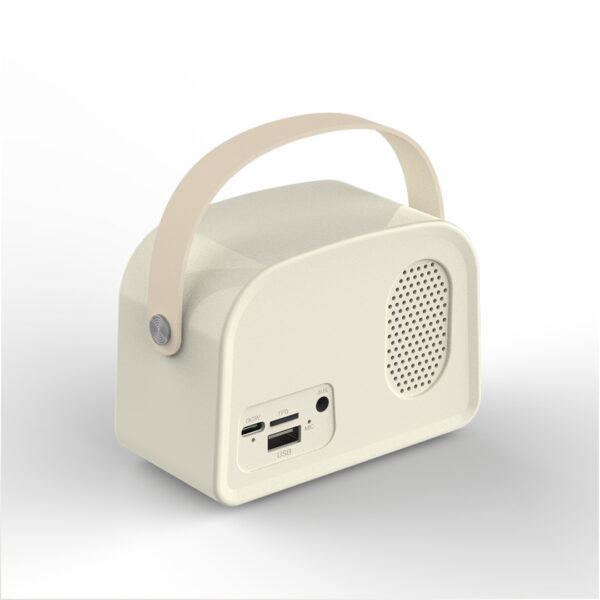 ANTIQ SPEAKER ? Compact High-Quality Loudspeaker with Timeless Design for Crisp, Immersive Audio